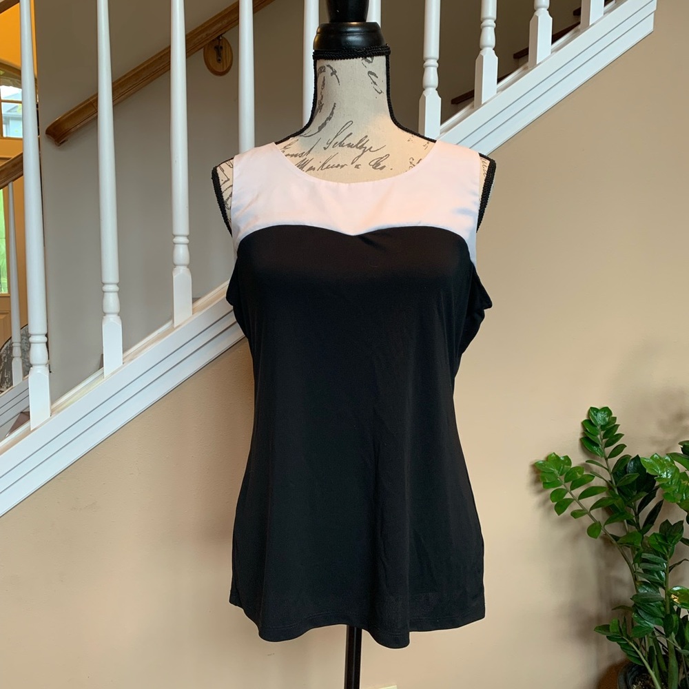 The Limited size Large. Sleeveless blouse.